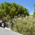 Luxe tent Starsbox Jacuzzi Privata E Piscina Vista Mare Celle Ligure