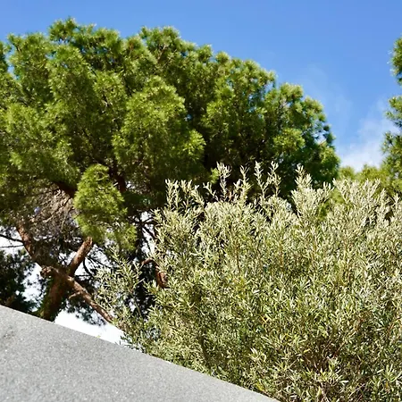 Campo de lujo Starsbox Jacuzzi Privata E Piscina Vista Mare Celle Ligure